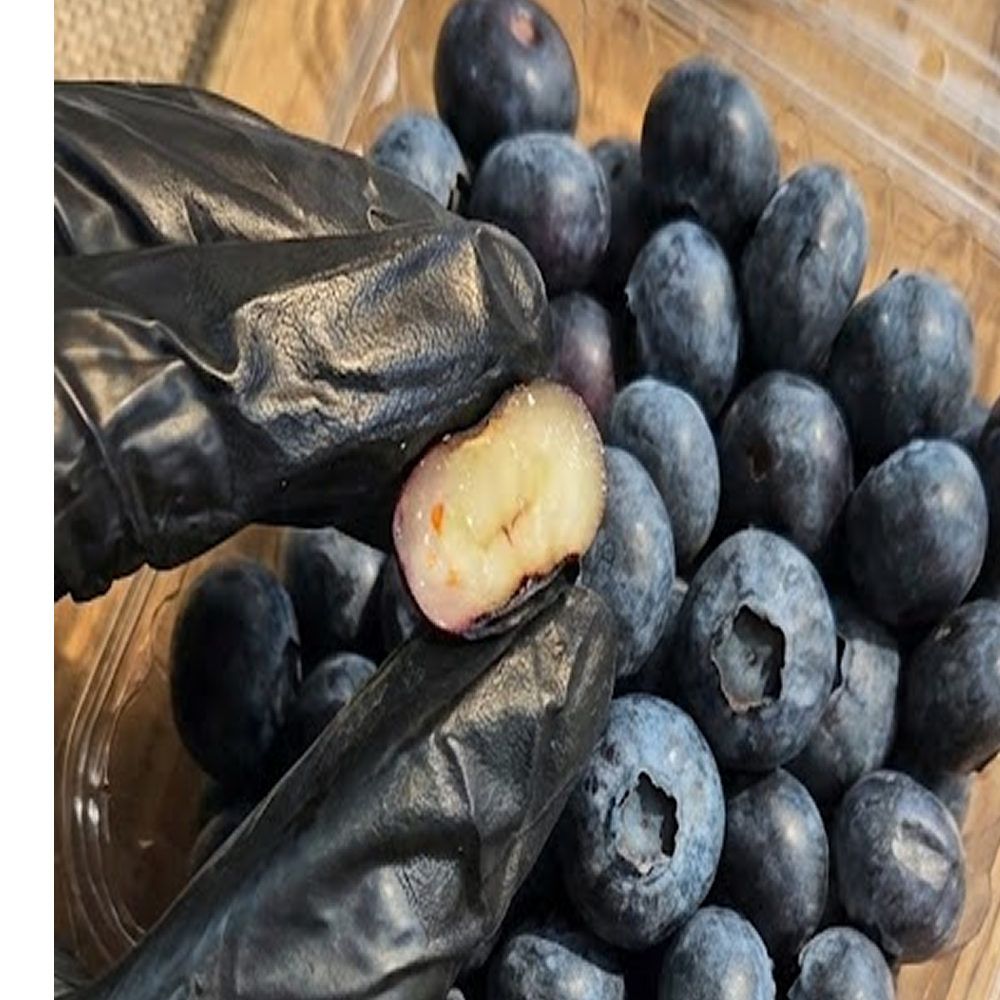 [항산화,눈건강] 칠레산 생블루베리 52,000원