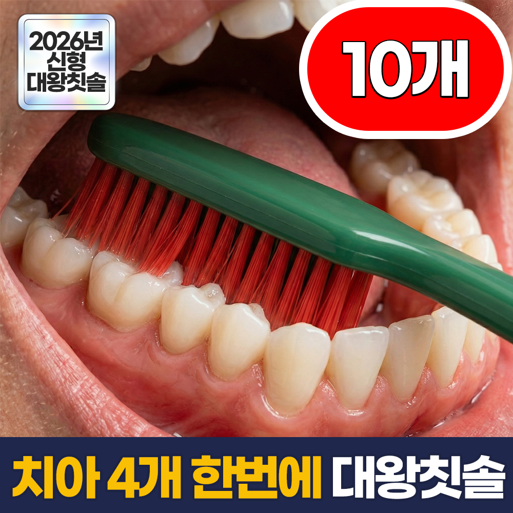 필모어 6세대 한번에 이빨 닦는 대왕 헤드 미세모 칫솔 세트, 1개, 10개입 11,900원