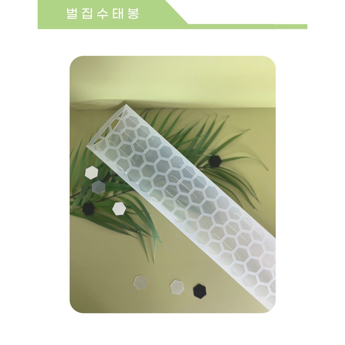 벌집수태봉 투명 수태벽 식물지지대 기둥 몬스테라수태봉, 1개 5,500원