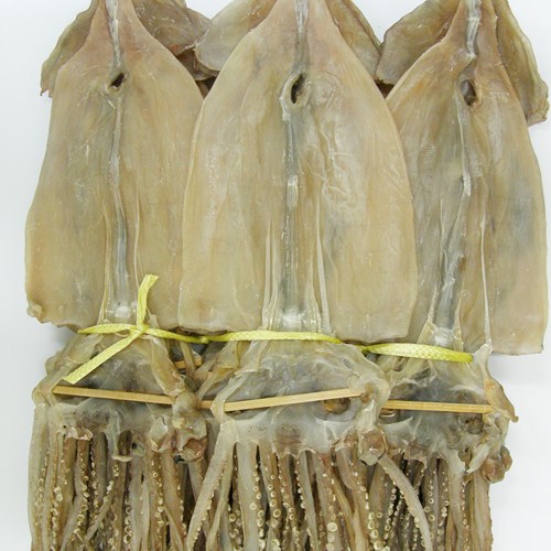 건어물천국 마른오징어 특대 건조오징어, 1.7kg, 1개 137,900원