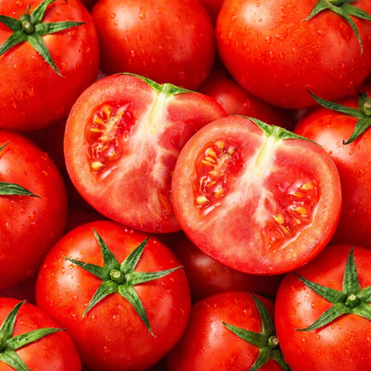 정직하게 길러낸 정품 완숙 토마토 16,900원