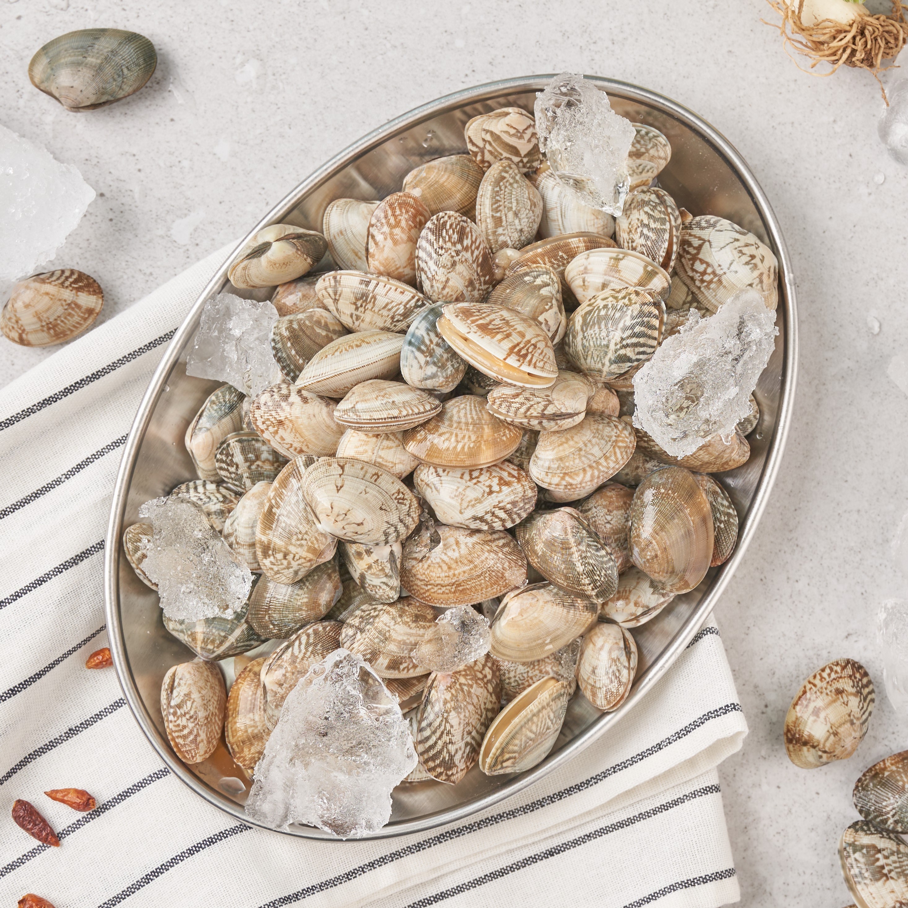 살아있는 바지락 10kg 해감완료 오씨수산 조개찜, 바지락 10kg, 1개 46,900원