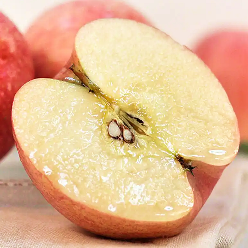 [사과축제1위] 정품A+등급 아삭달콤 청송사과 꿀사과 52,500원