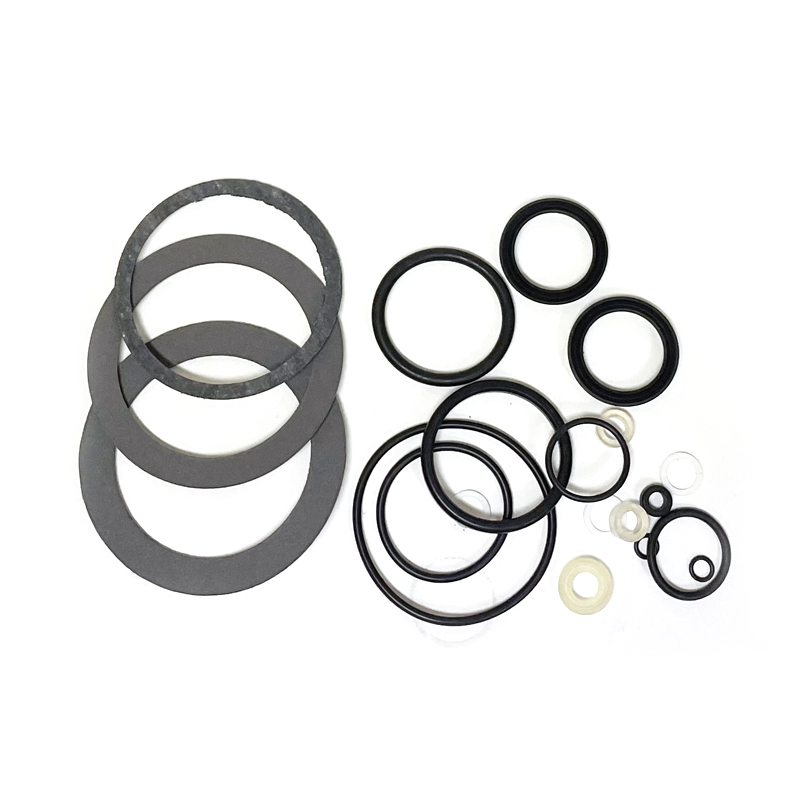 LAPAVONI 라파보니 프로페셔널 가스켓 세트 95,000원