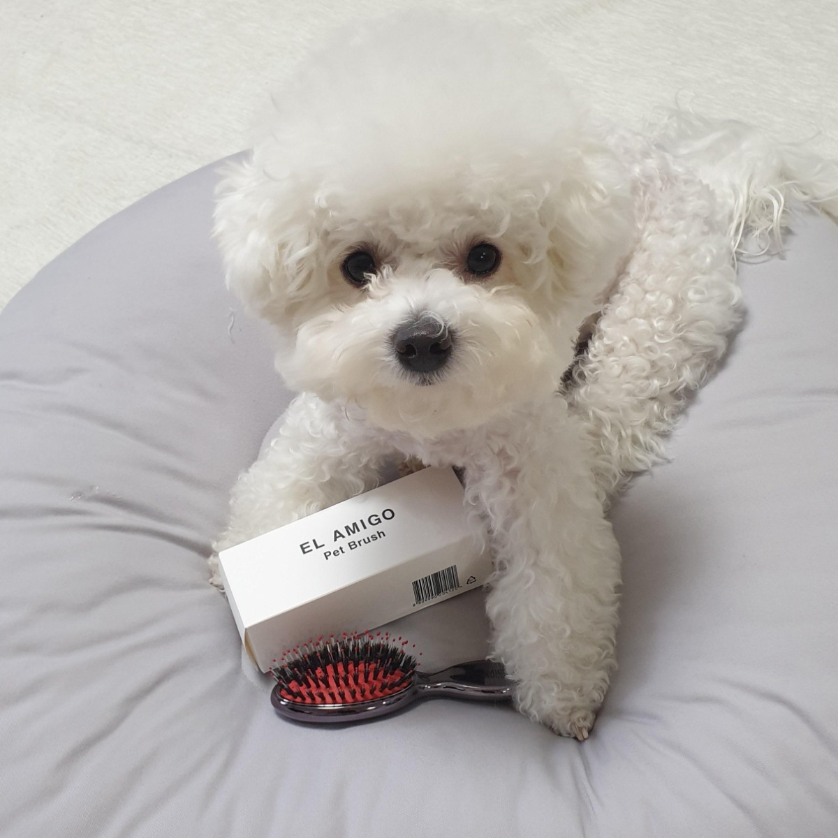강아지 털갈이 빗 소형견 말티즈 포메 푸들 엉킨털 죽은털 제거 엘아미고 브러쉬 모음 47,000원