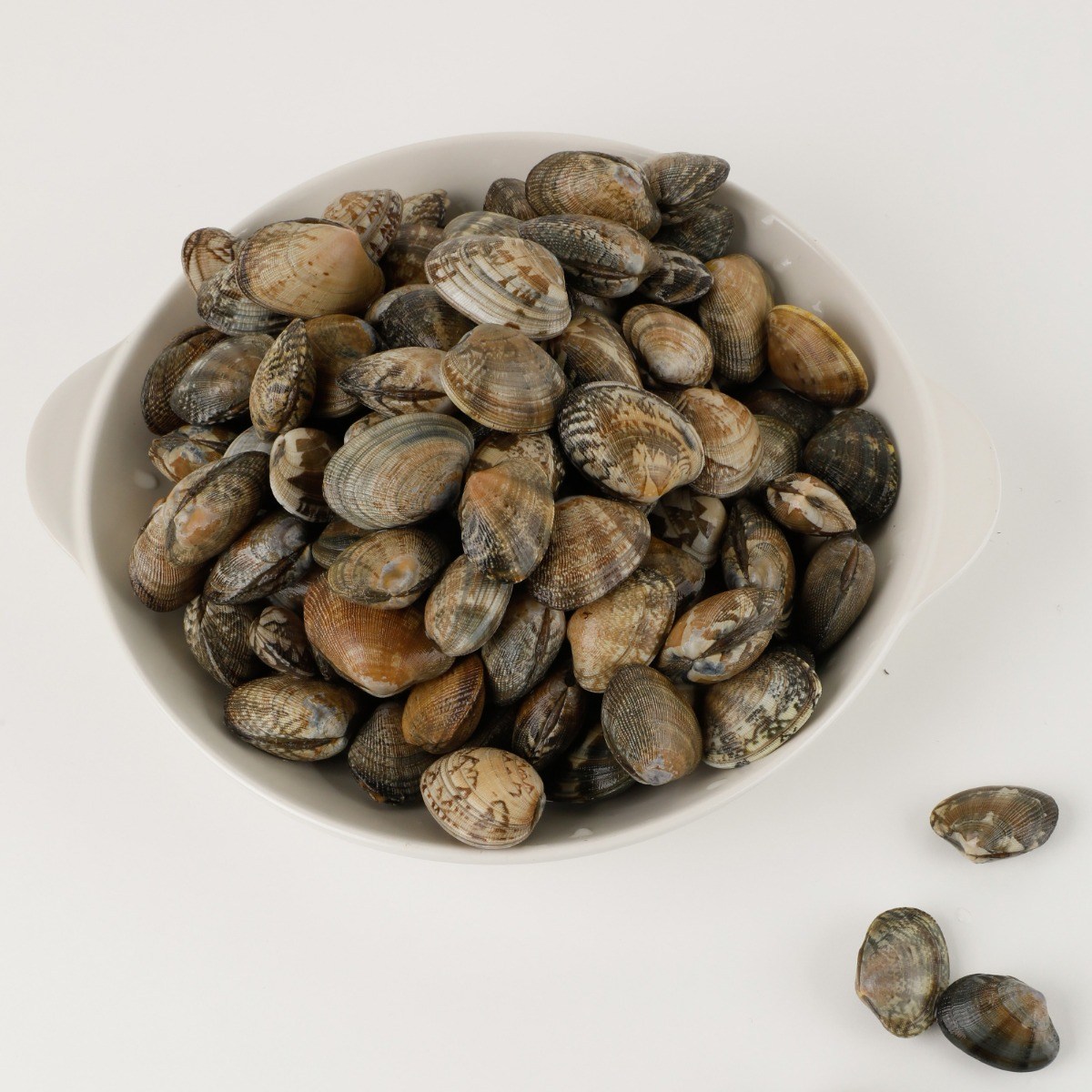 서해안 참바지락 국산 세척 해감 선별 칼국수 활바지락, 1개, 3kg 23,700원