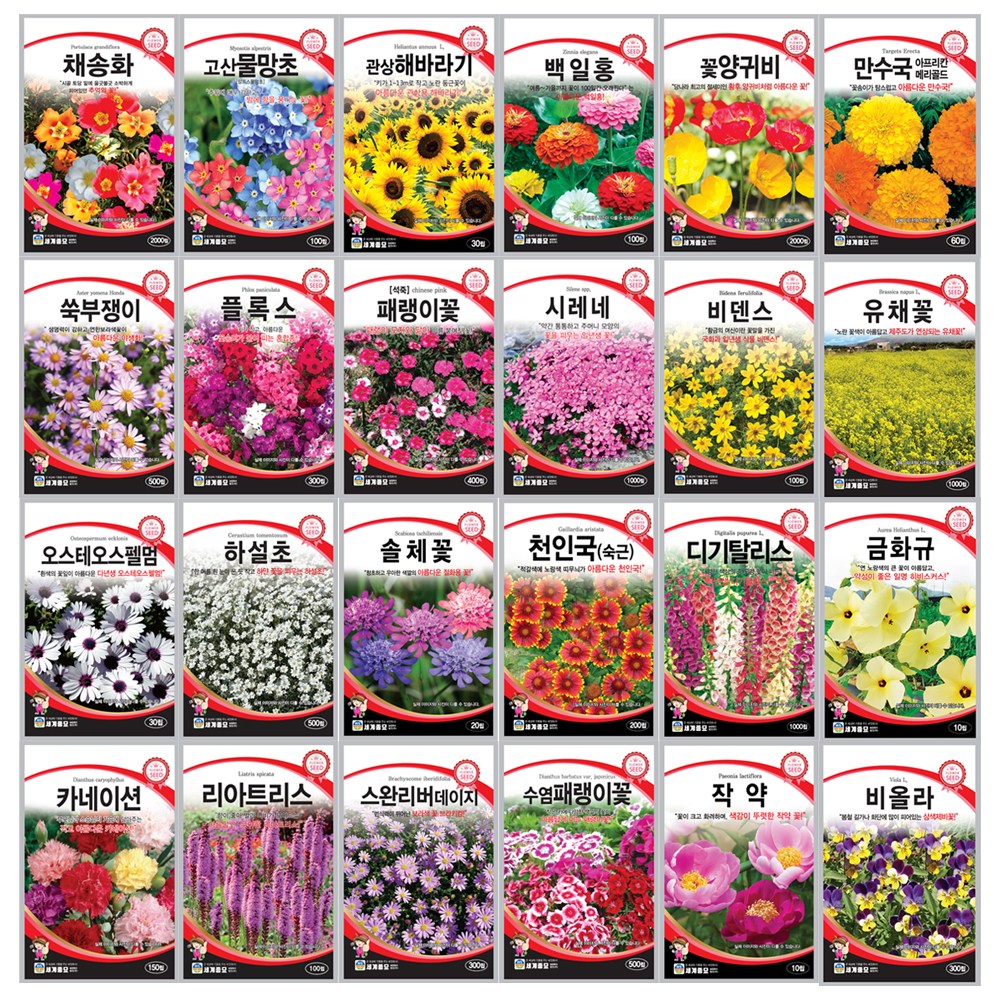 꽃 씨앗 허브씨 사계절 다년생 꽃씨 야생화 종자 씨앗 200여종 17,800원