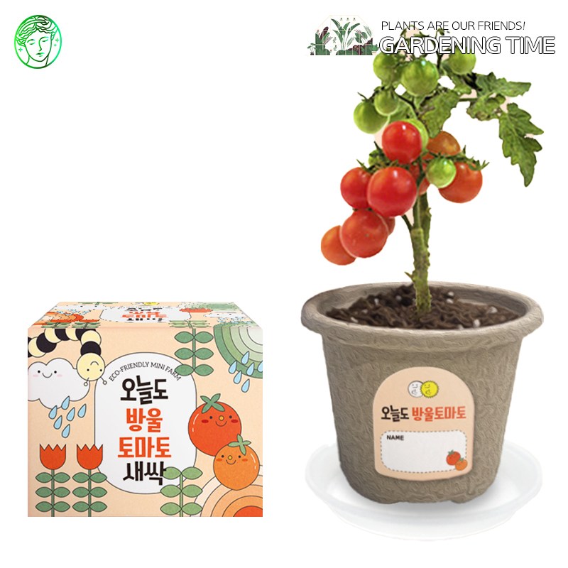 예스통상 <씨앗 식물 키우기 재배키트 50종> 모음전2 / 강낭콩키우기 토마토키우기 원예체험 텃밭가꾸기 새싹키우기 2,600원